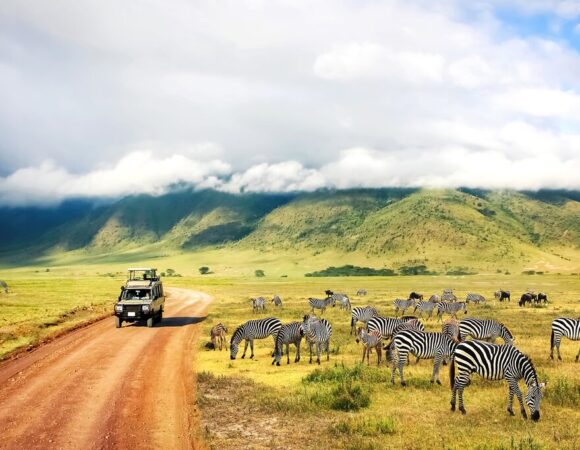 The Best Time to Visit Tanzania: A Seasonal Guide