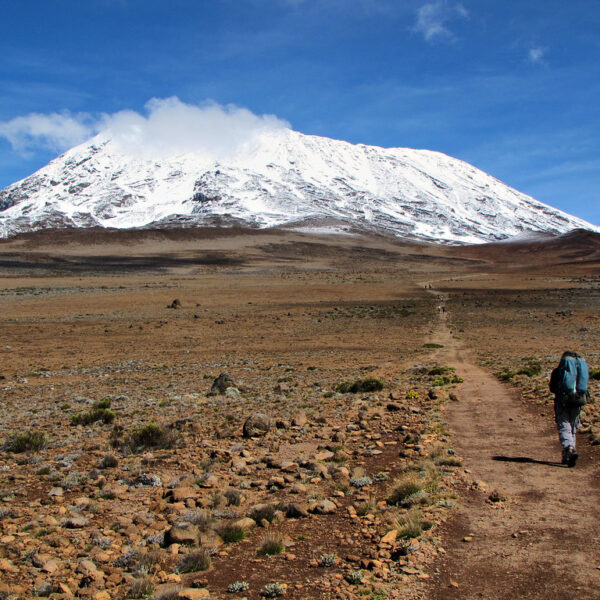 9 Days Lemosho Route via Kibo Crater