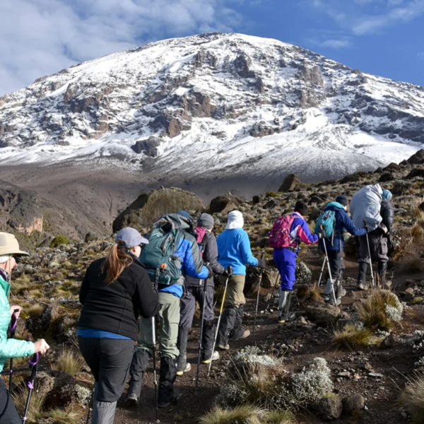 8 Days - Lemosho Route via Stella Point