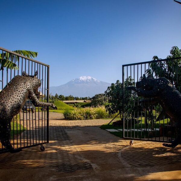Kilimanjaro Tented Lodge