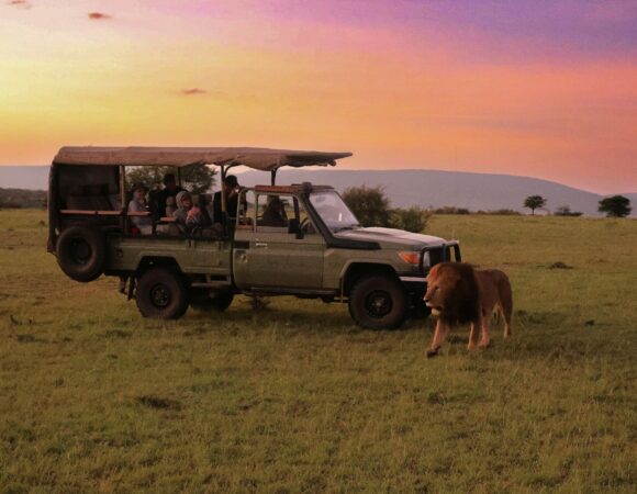 Safari in Tanzania: Top Activities and Adventures