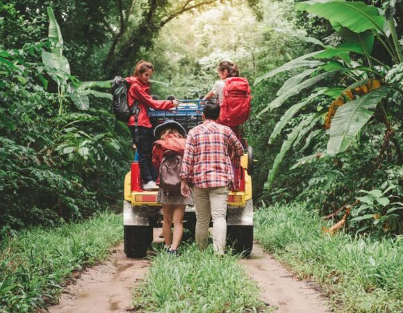 Best Time for Safari in Tanzania: A Guide to Seasons and Wildlife