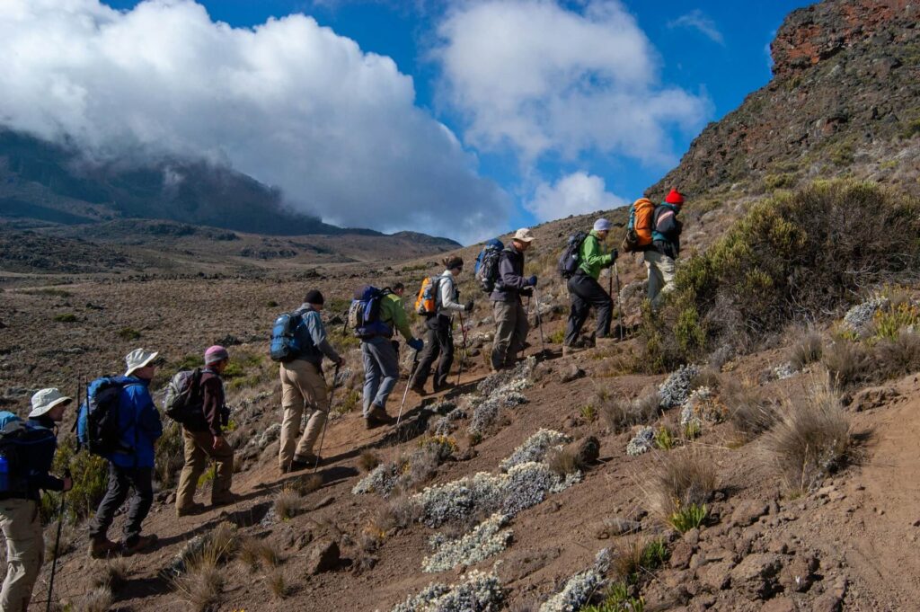 best Kilimanjaro tour operators