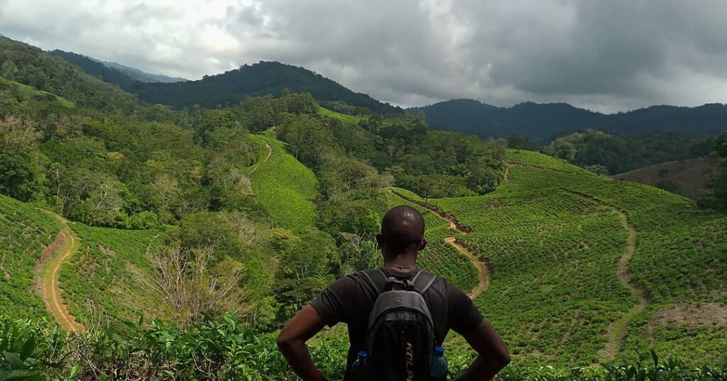 Usambara mountains in tanzania