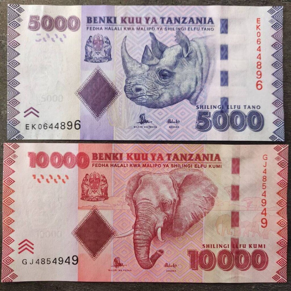 currency in Tanzania
